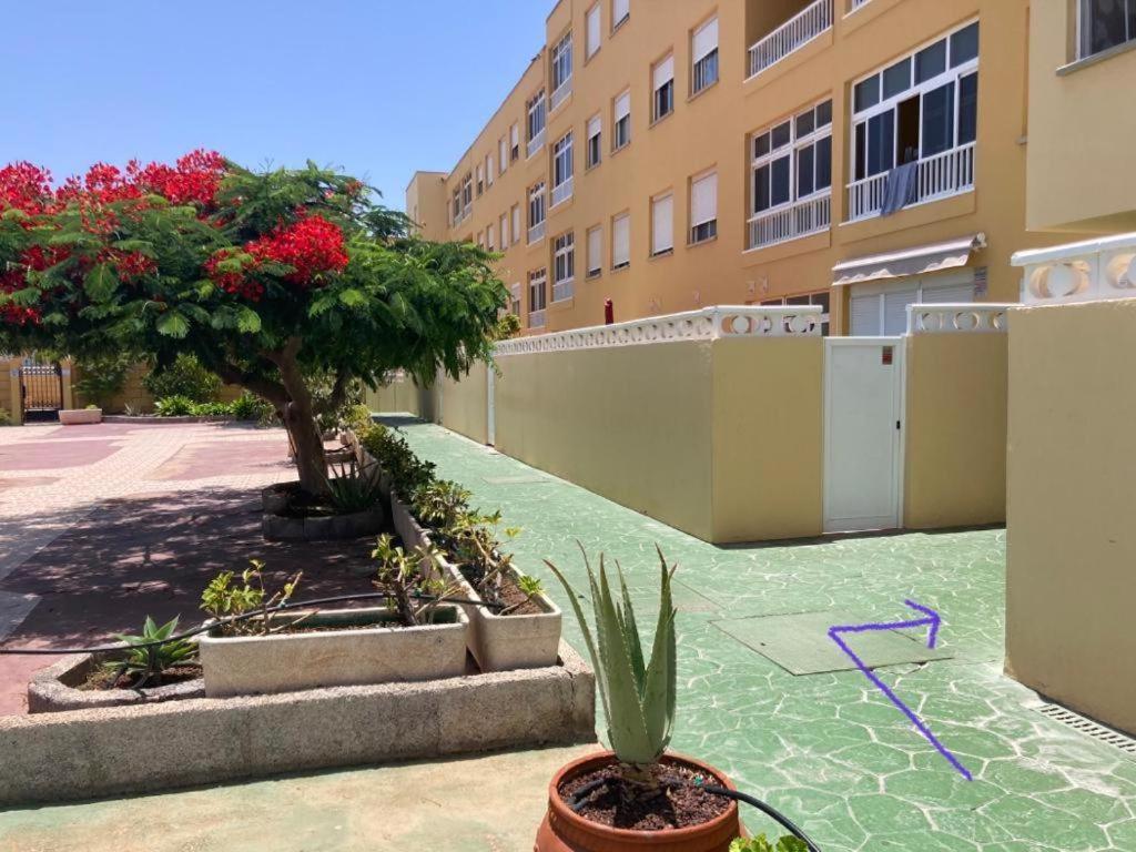 Apartamento Lolo El Médano Exteriör bild